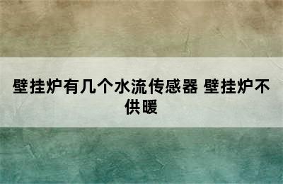 壁挂炉有几个水流传感器 壁挂炉不供暖